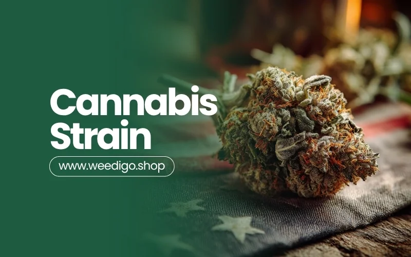 Cannabis strains basics