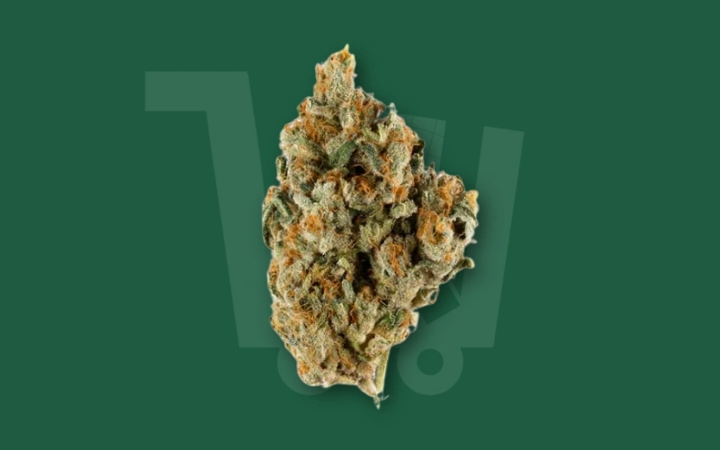 Cannabis Strain Guides